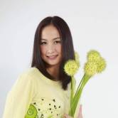 汤宝如