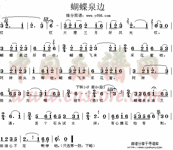 蝴蝶泉边简谱