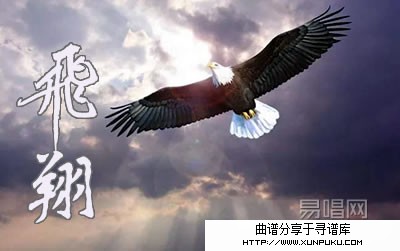 飞翔吉他谱第1页