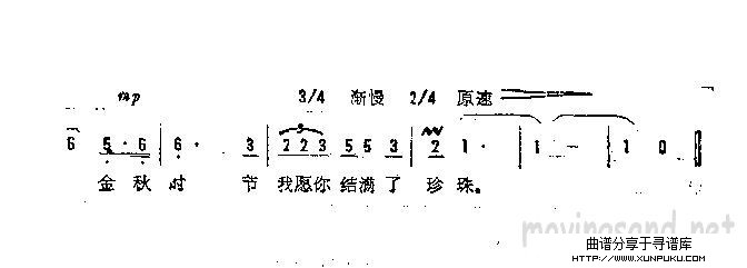 期望简谱第3页