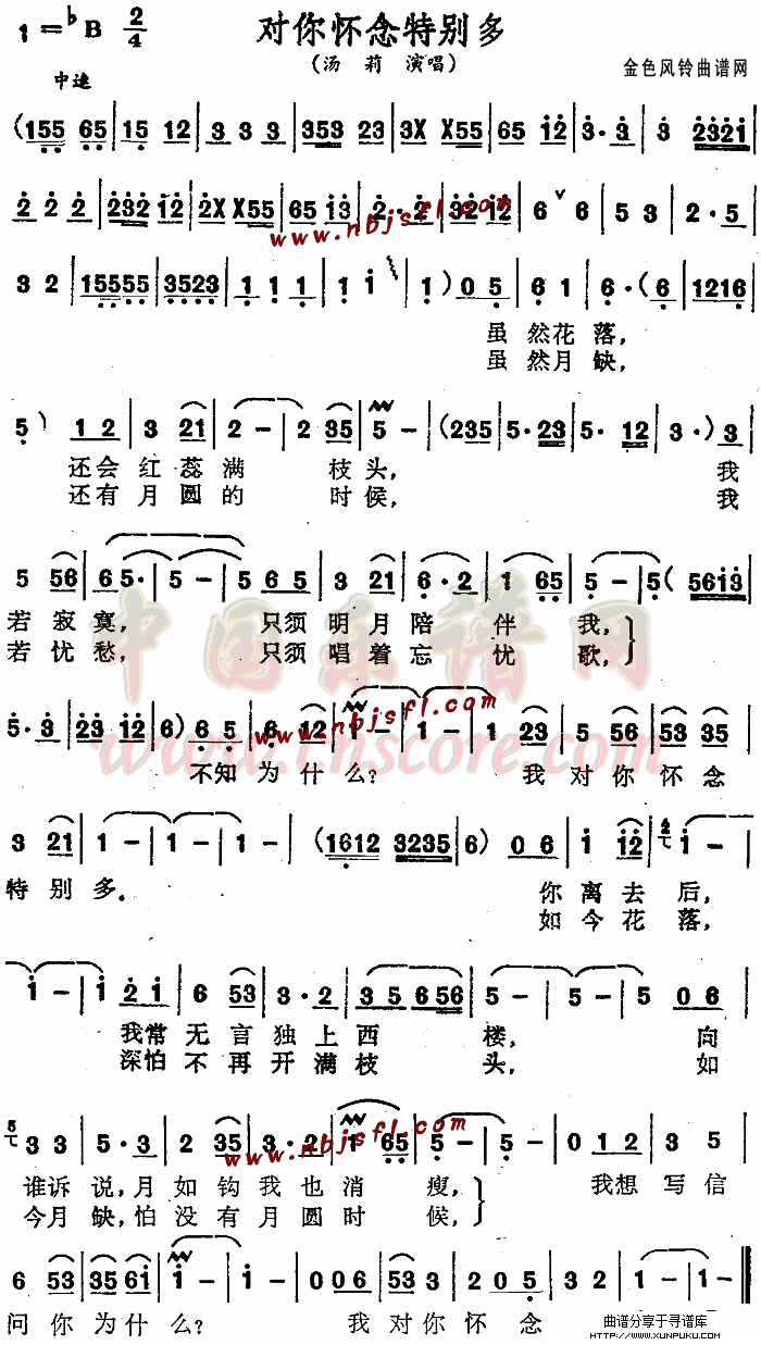 对你怀念特别多简谱