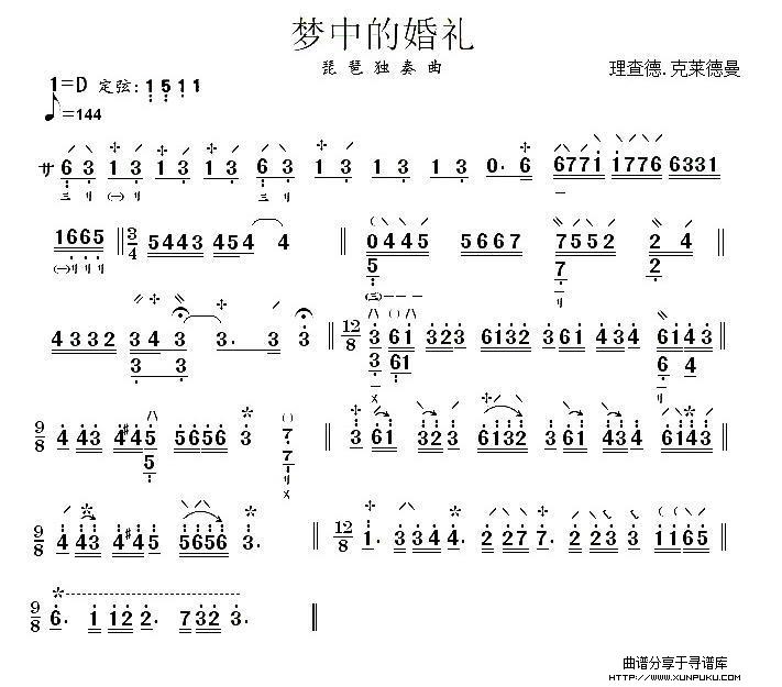 梦中的婚礼琵琶谱第1页