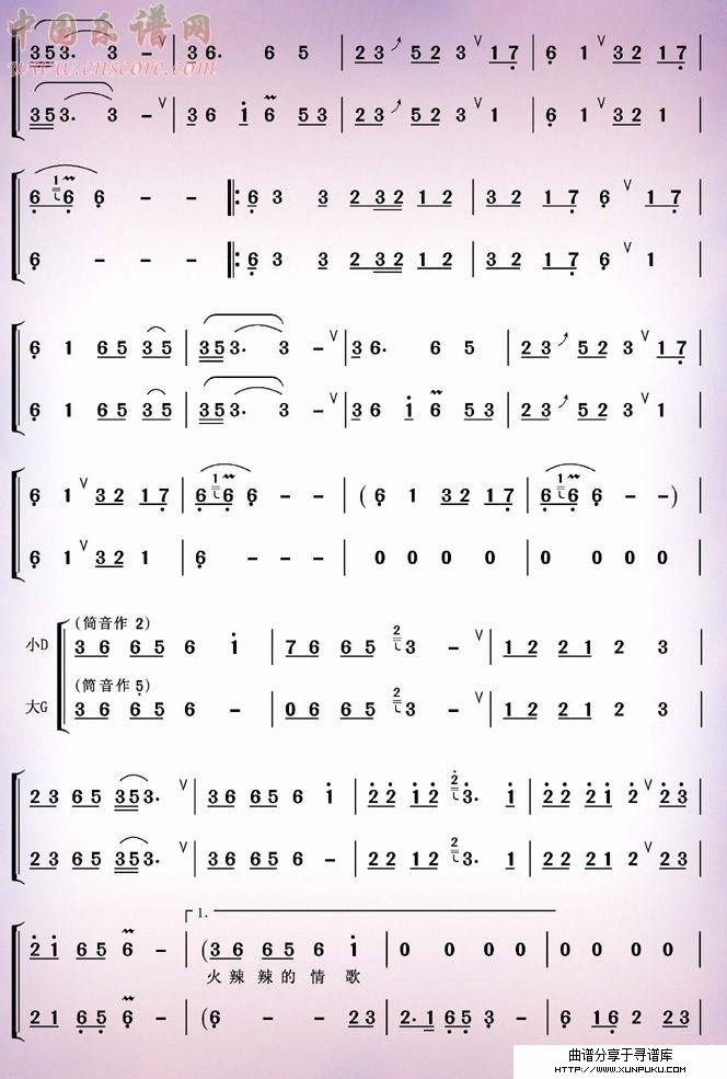 火辣辣的情歌（葫芦丝二重奏）其他曲谱第2页