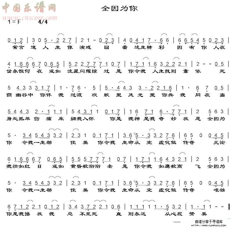 全因为你简谱
