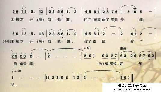 木棉恋简谱第2页