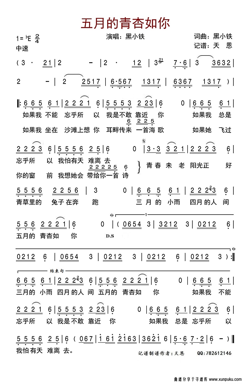 五月的青杏如你简谱