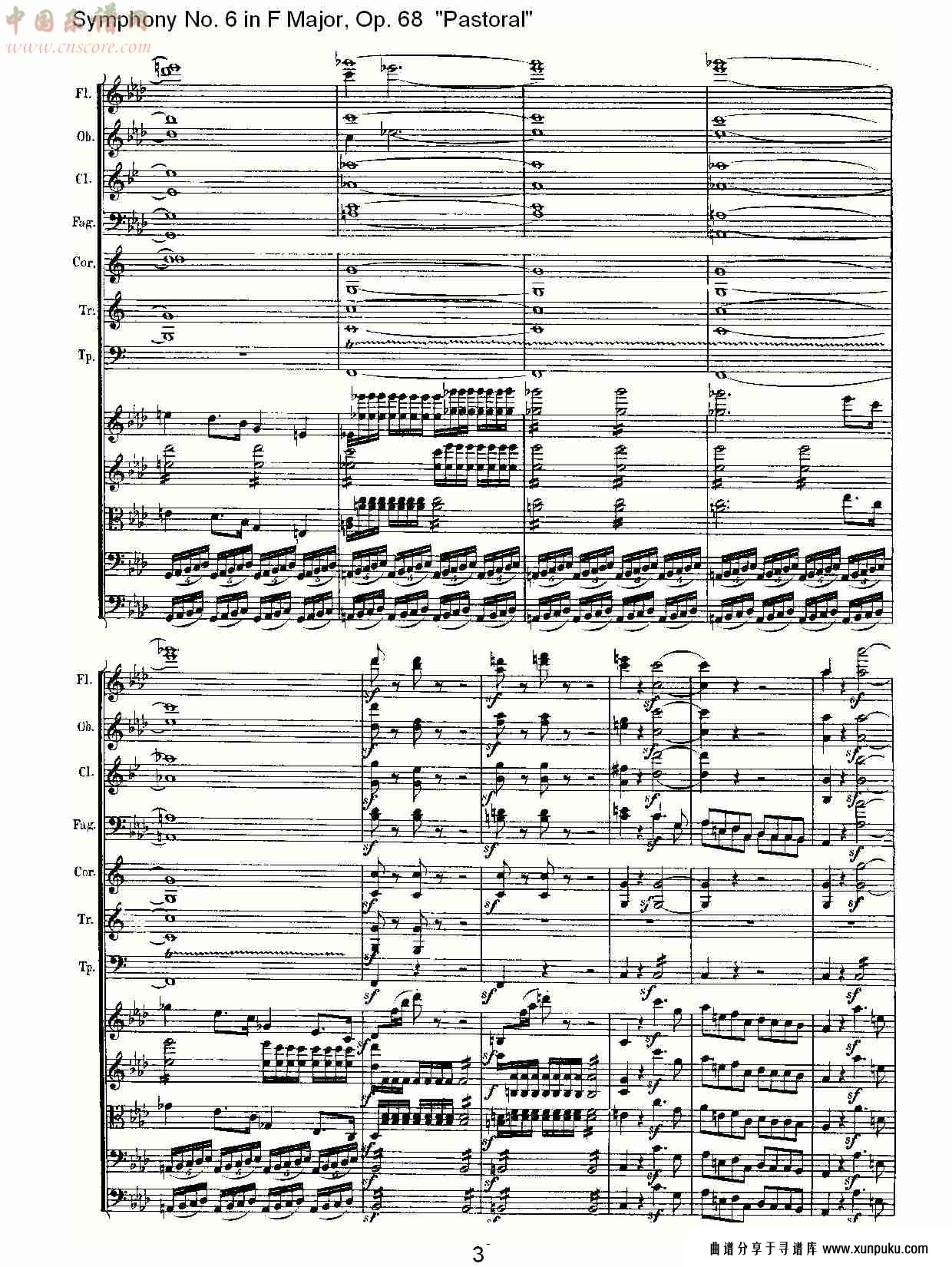 f大调第六交响曲 op.68 “田园” 第四乐章总谱第4页