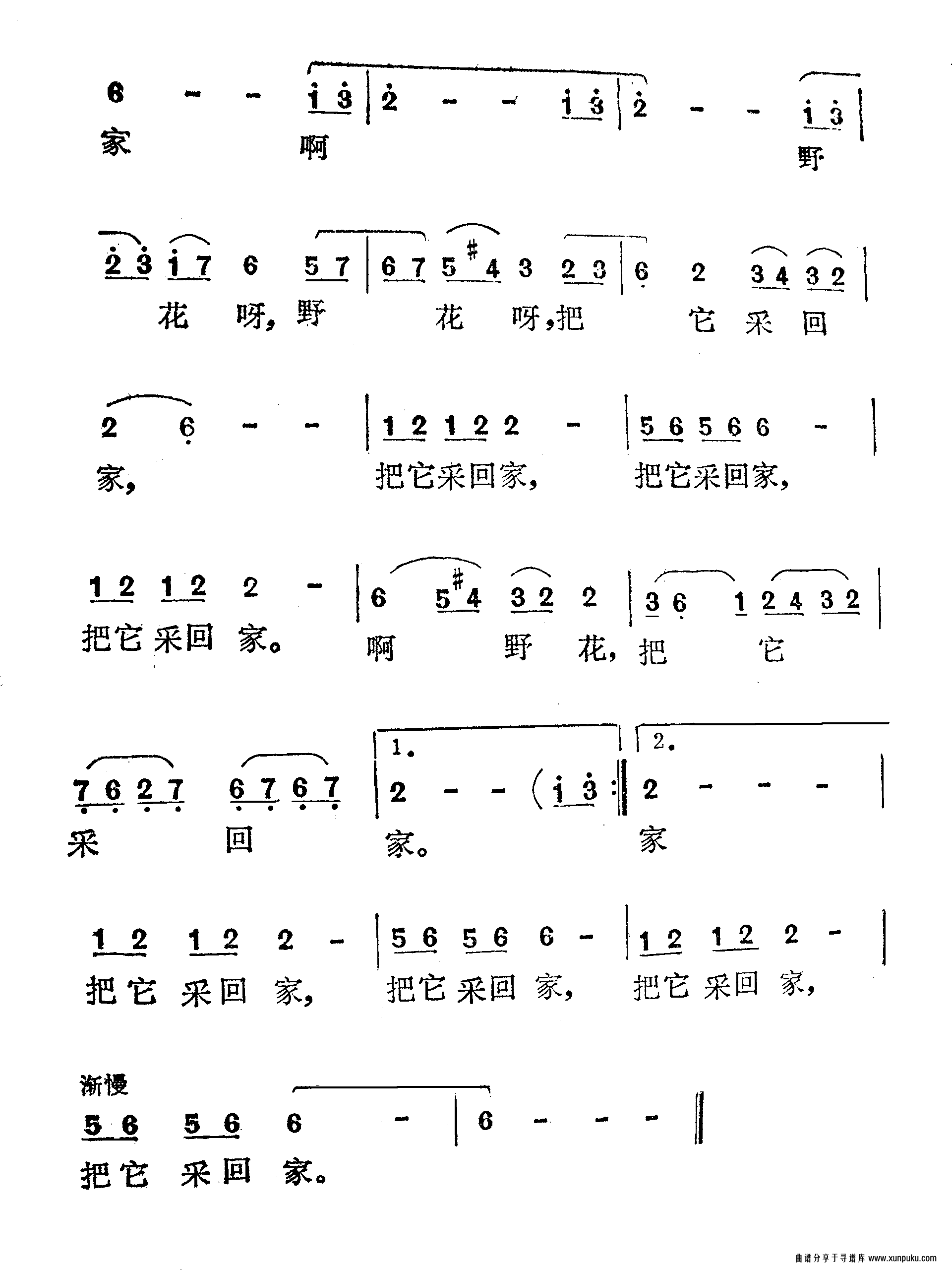 啊，野花（扬帆）插曲简谱第2页