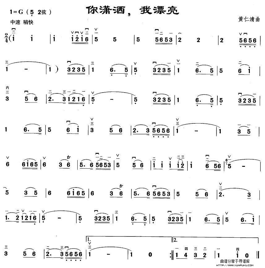 你潇洒，我漂亮二胡谱