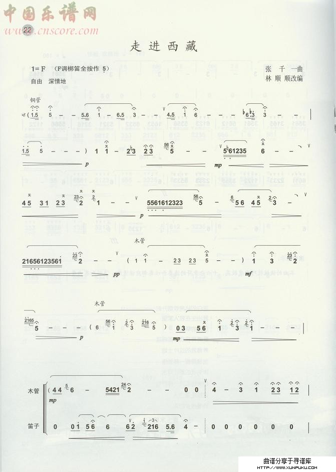 走进西藏（笛子曲谱）笛箫谱第1页
