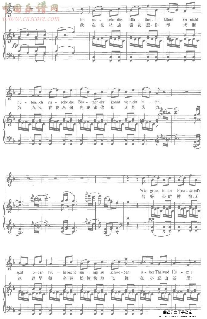 蝴蝶其他曲谱第2页