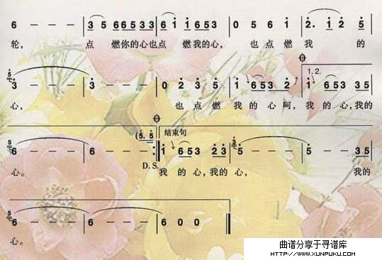花一样的岁月，花一样的年轮简谱第2页