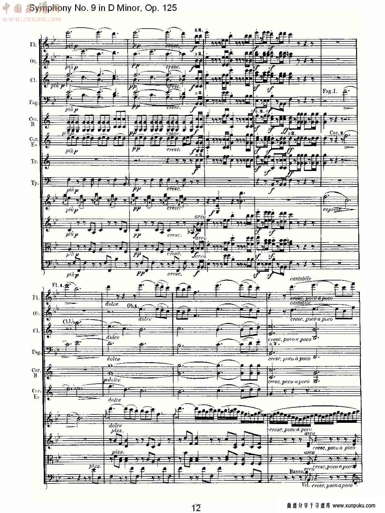 （d小调第九交响曲 op.125）第三乐章（三）总谱第2页