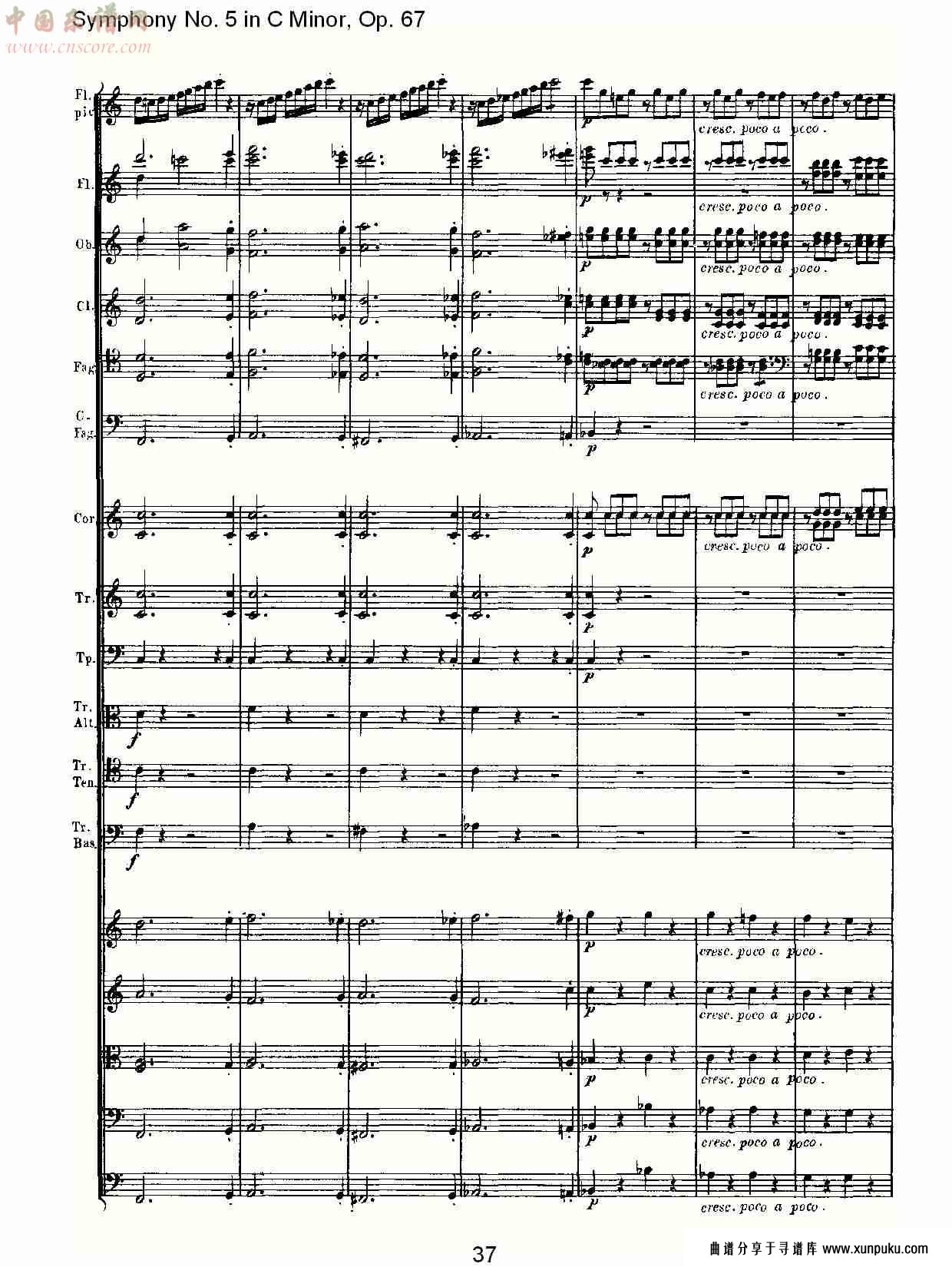 c大调第五交响曲 op.67 第四乐章总谱第31页