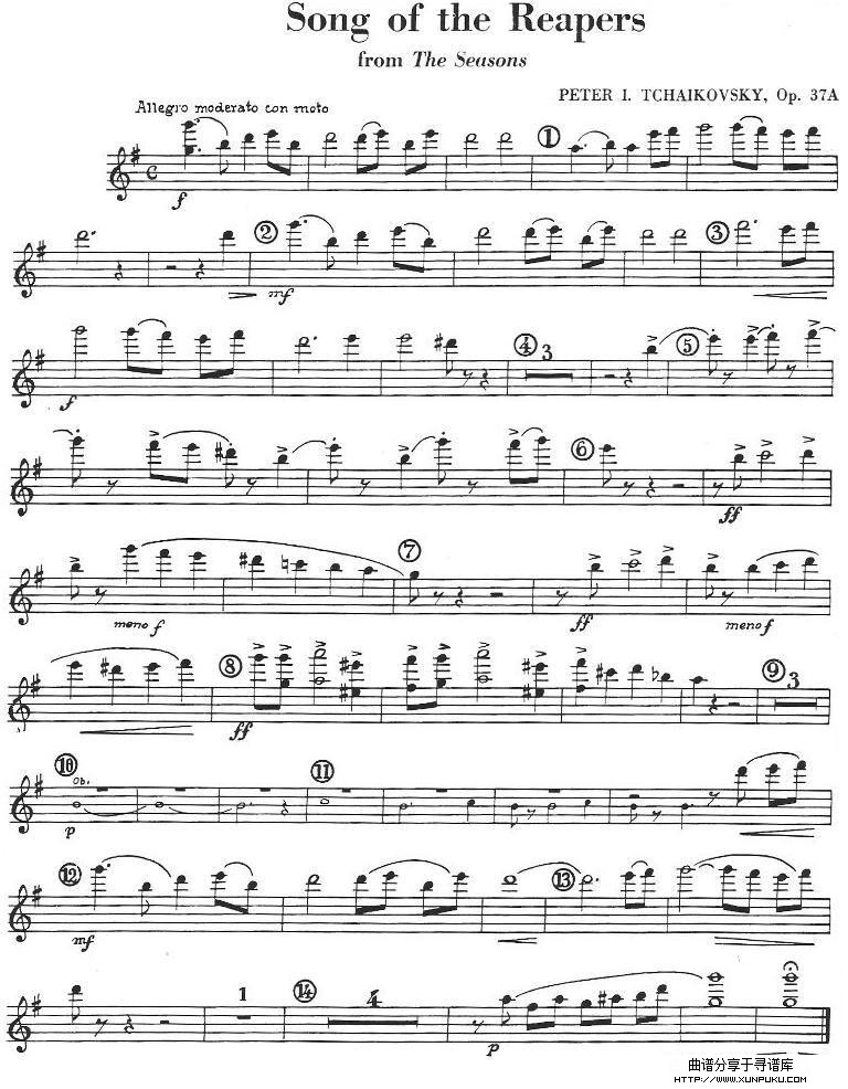 Song of the Reapers小提琴谱
