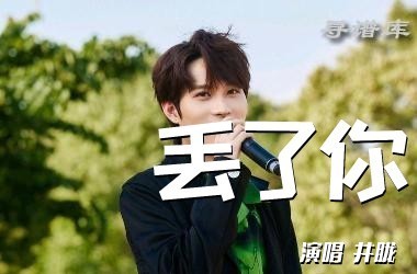 丢了你吉他谱C调 - 井胧  无限延音编配