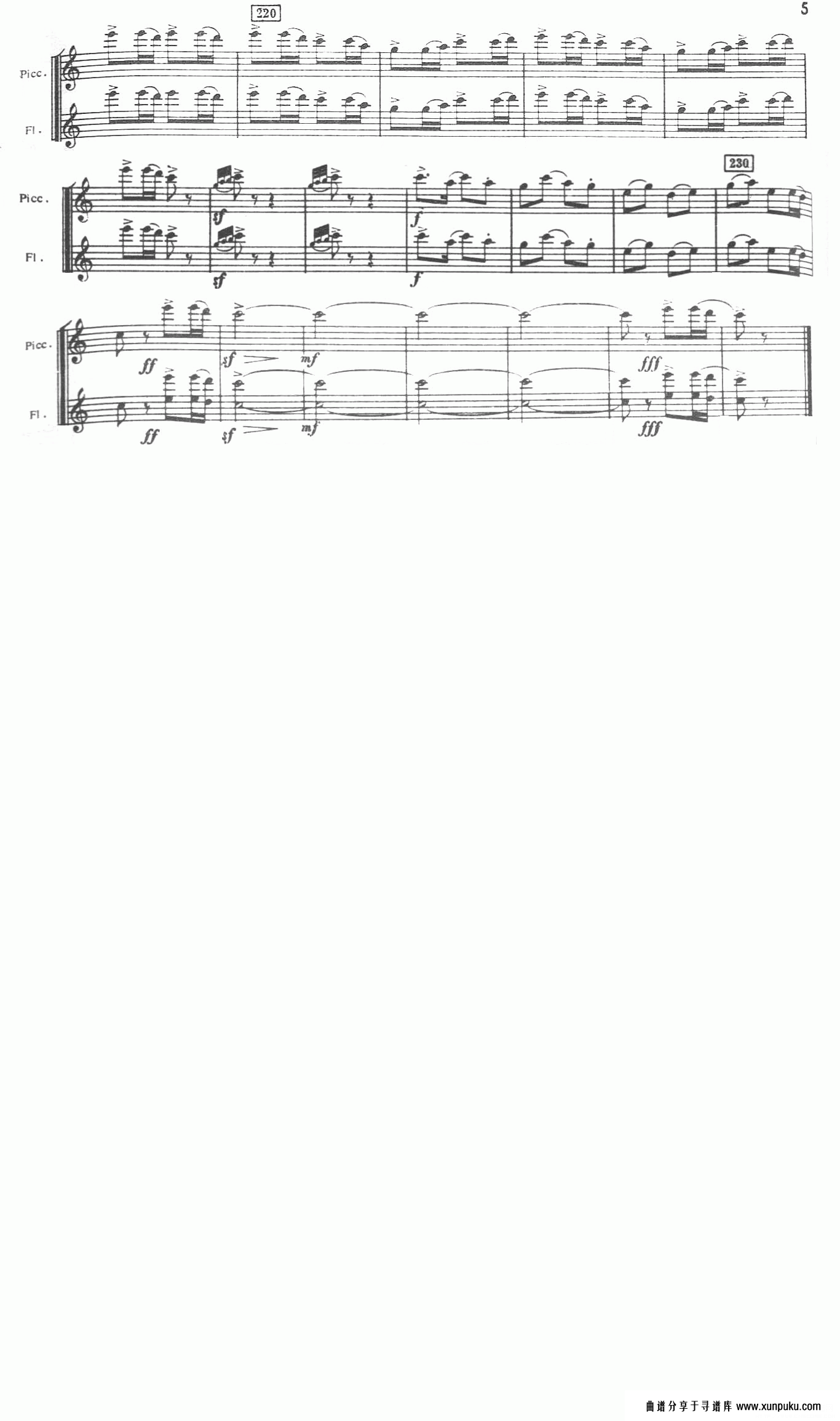 春节序曲(交响乐长短笛分谱)笛箫谱第5页