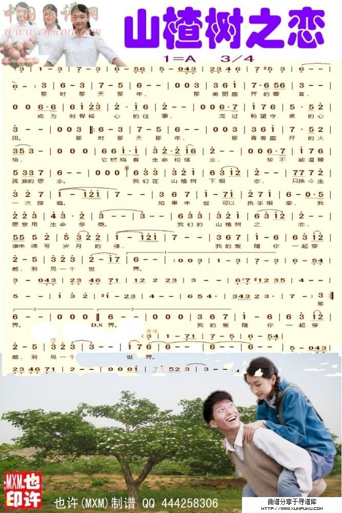 山楂树之恋(彩谱)简谱