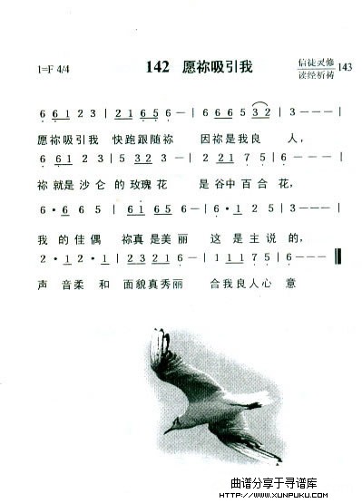 愿你吸引我简谱