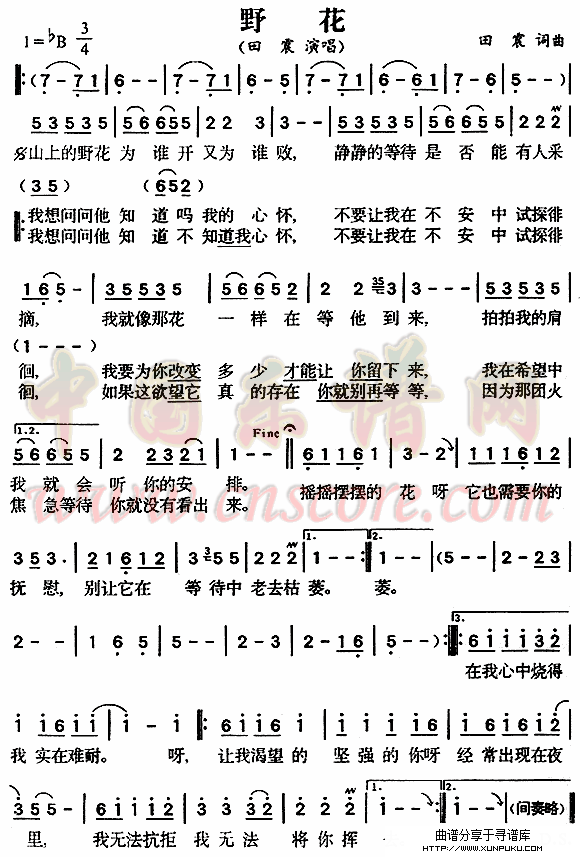 野花简谱