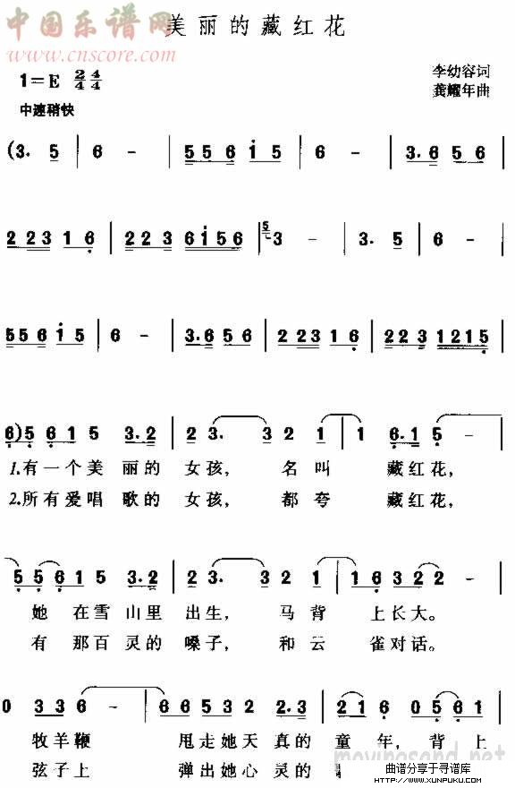 美丽的藏红花简谱第1页