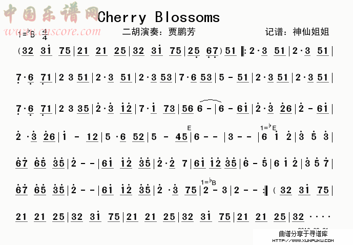 cherry blossoms简谱