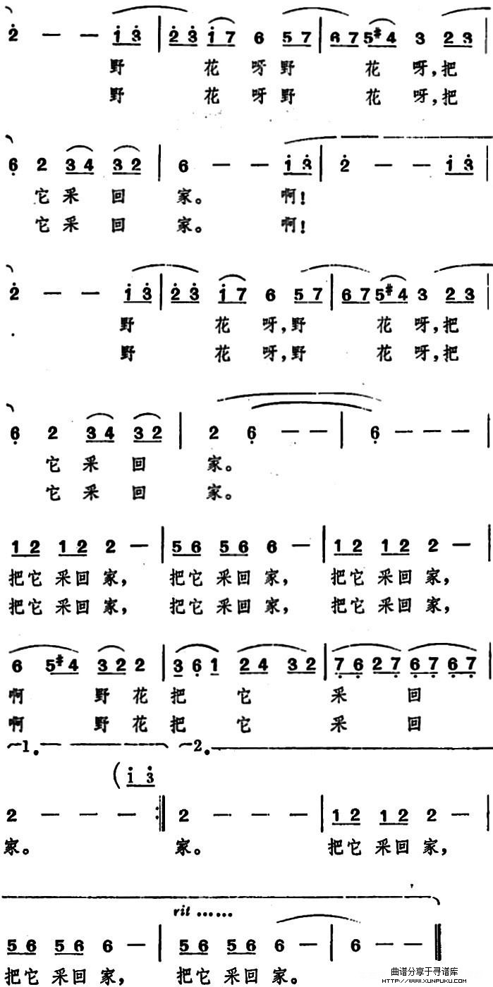 啊野花，野花（电影《扬帆》插曲）简谱第2页