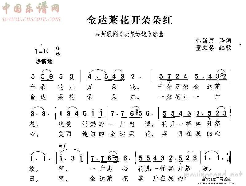 金达菜花开朵朵红简谱