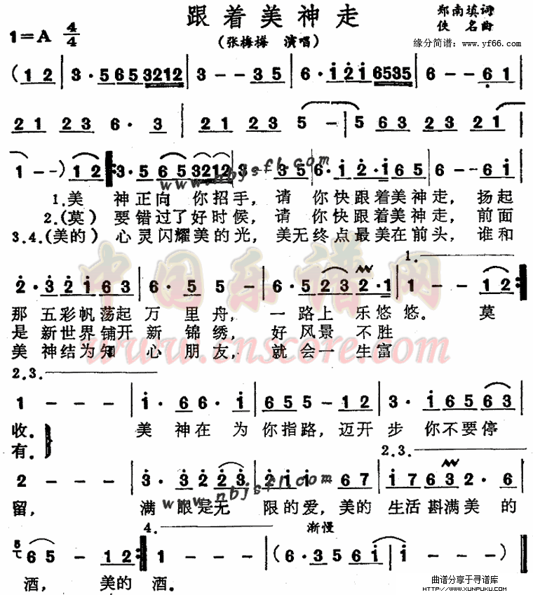 跟着美神走简谱