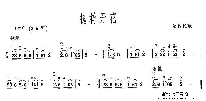 槐树开花二胡谱