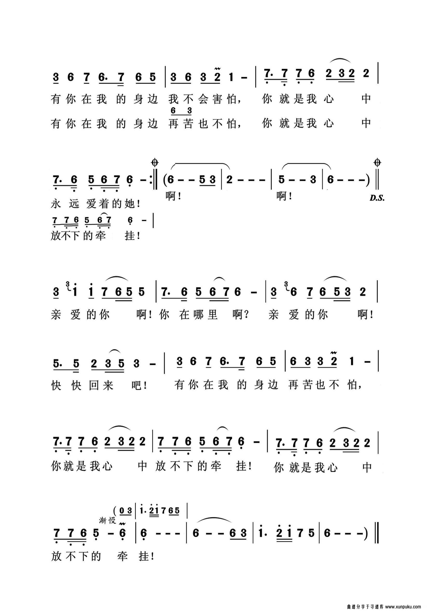 放不下的牵挂简谱第2页