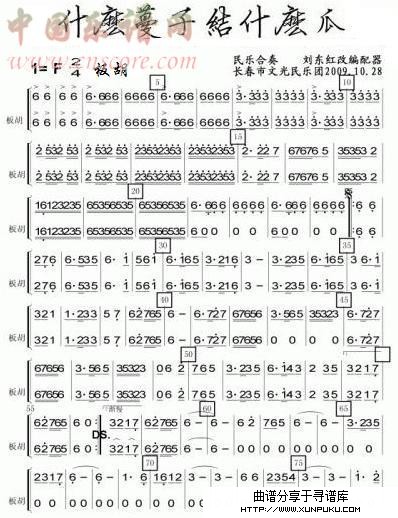 什么蔓子结什么瓜板胡分谱总谱第1页