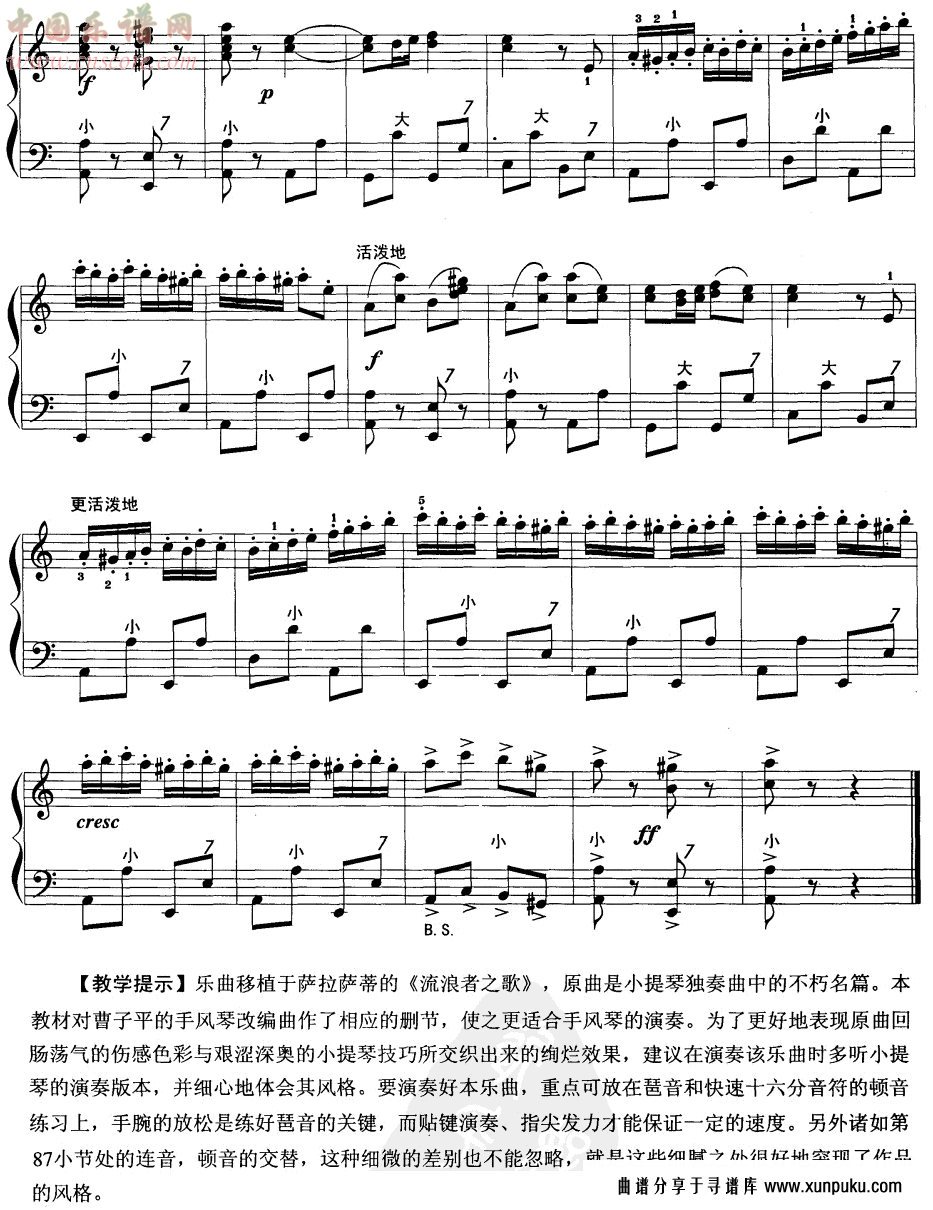 吉普赛之歌手风琴谱第5页