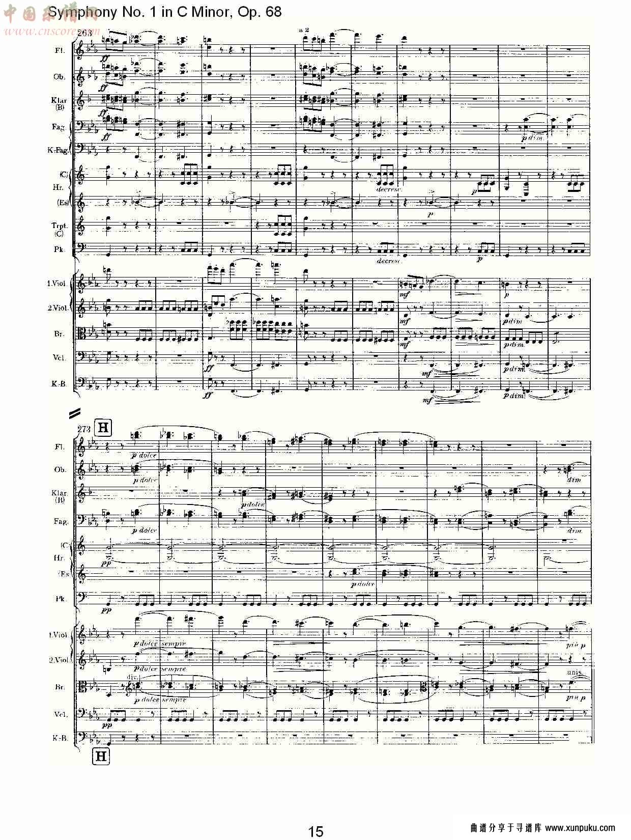 c小调第一交响曲, op.68 第一乐章（三）.总谱第5页