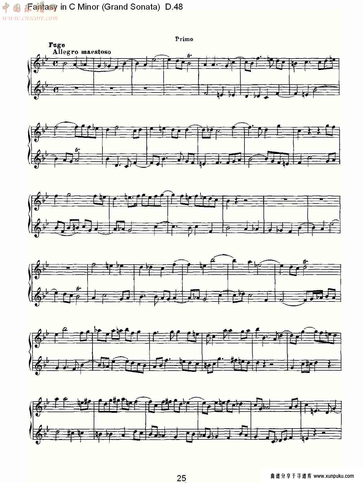 c小调幻想曲（豪华奏鸣曲）d.48（五）总谱第5页