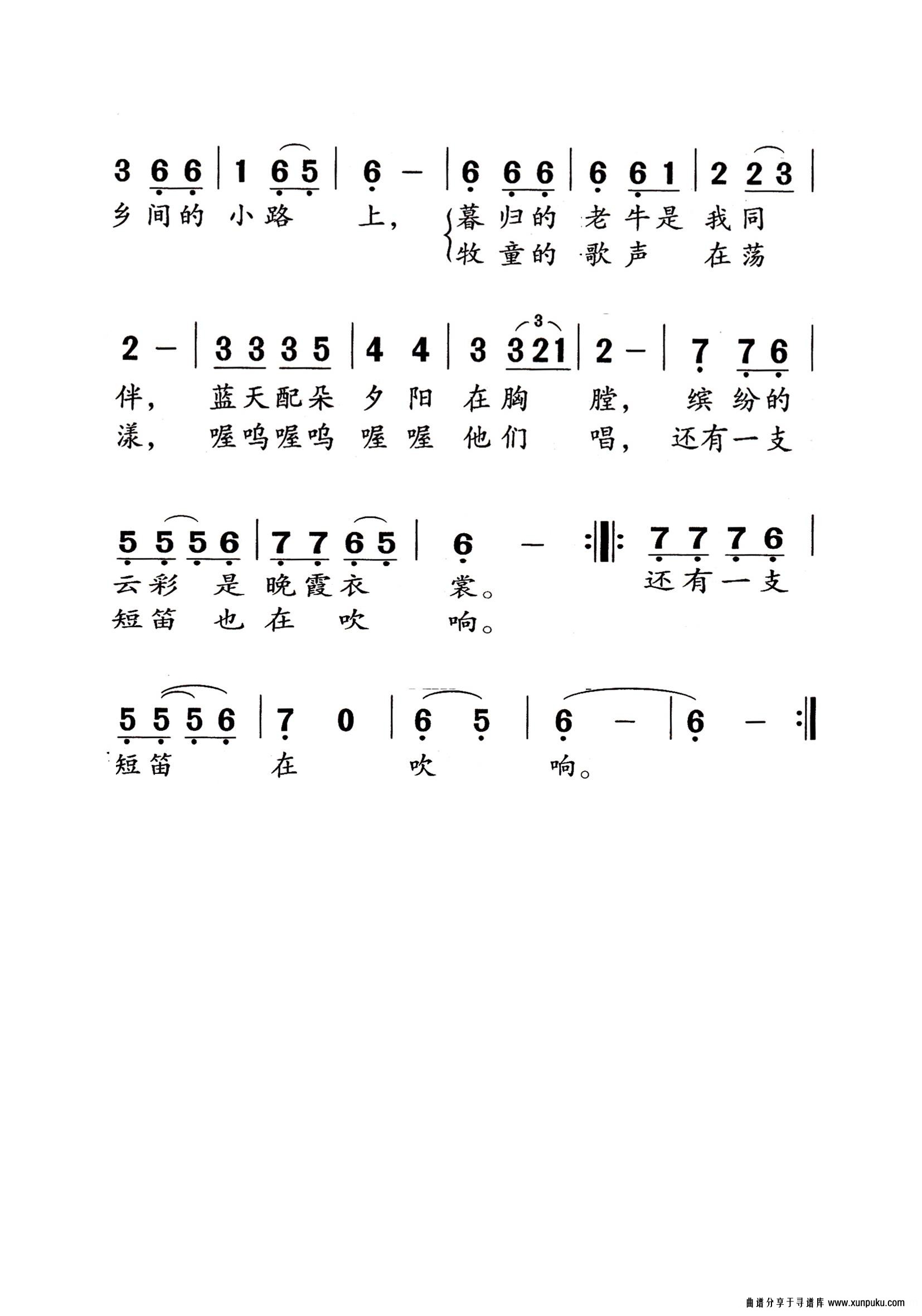 乡間小路老年人特大字版简谱第2页