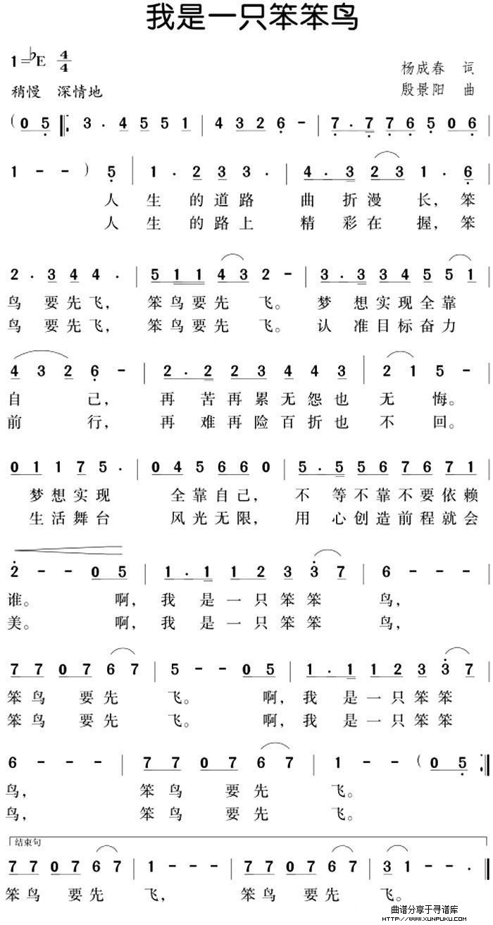 我是一只笨笨鸟简谱