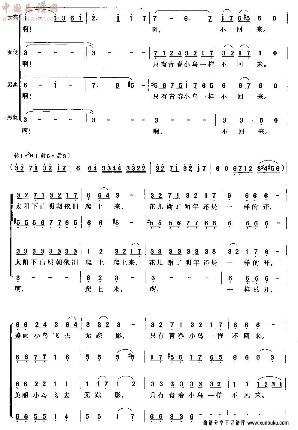 青春舞曲(合唱)简谱第3页