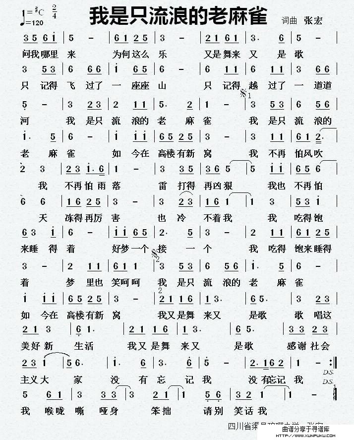 我是只流浪的老麻雀简谱
