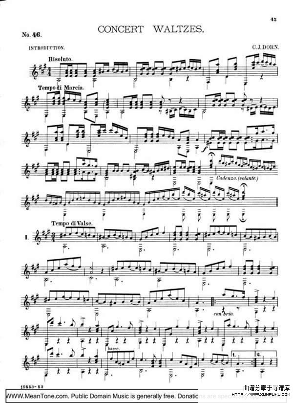 concert waltzes钢琴谱第1页