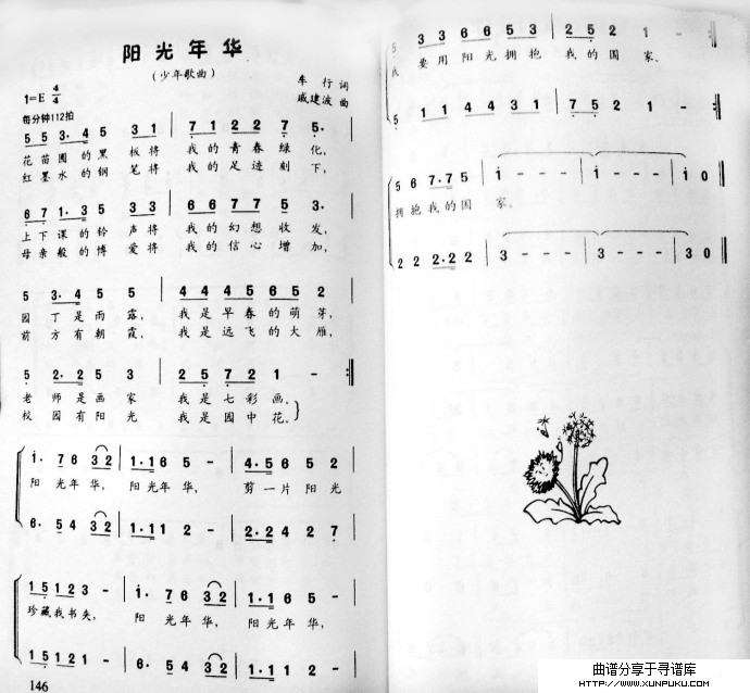 阳光年华简谱