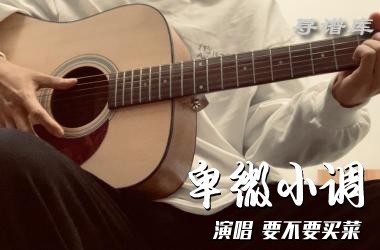 卑微小调吉他谱 C调 要不要买菜 无限延音编配