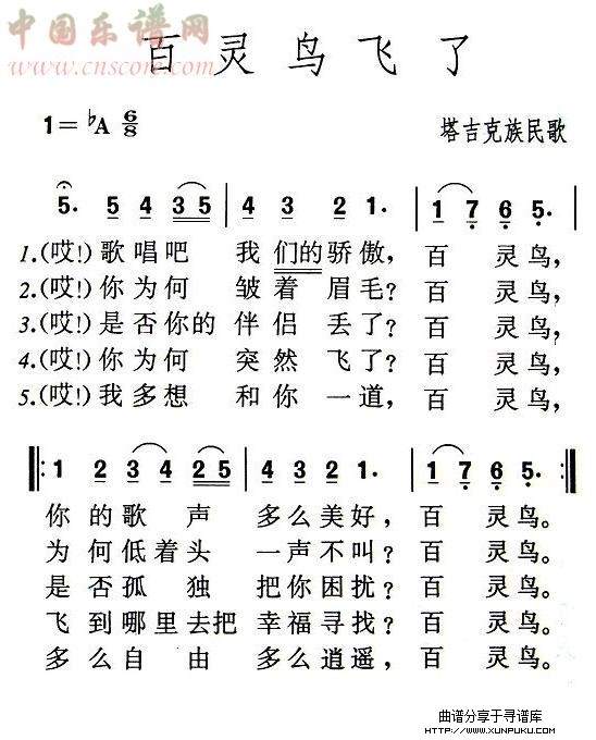 百灵鸟飞了简谱