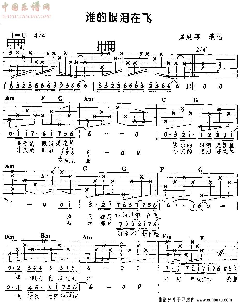 谁的眼泪在飞(吉他弹唱)吉他谱第1页