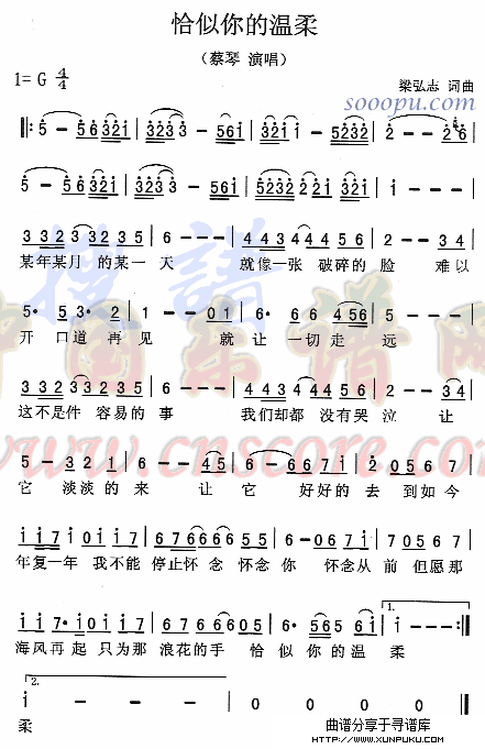 恰似你的温柔简谱