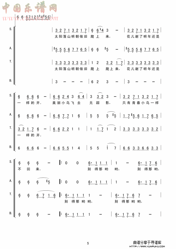 青春舞曲(维吾尔族)简谱第5页