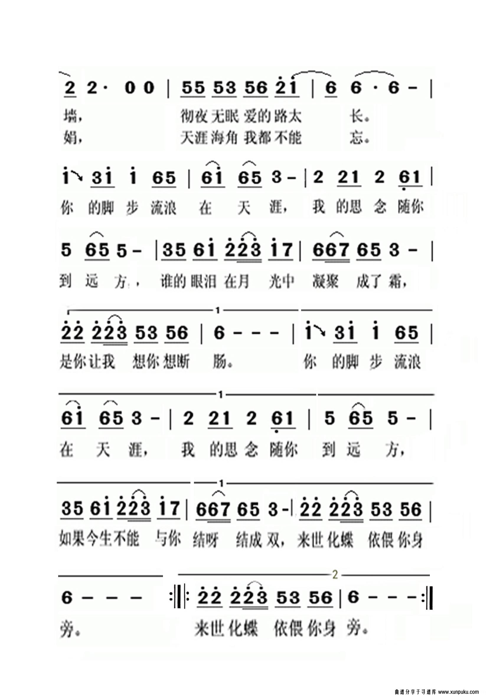 走天涯老年人特大字版简谱第2页